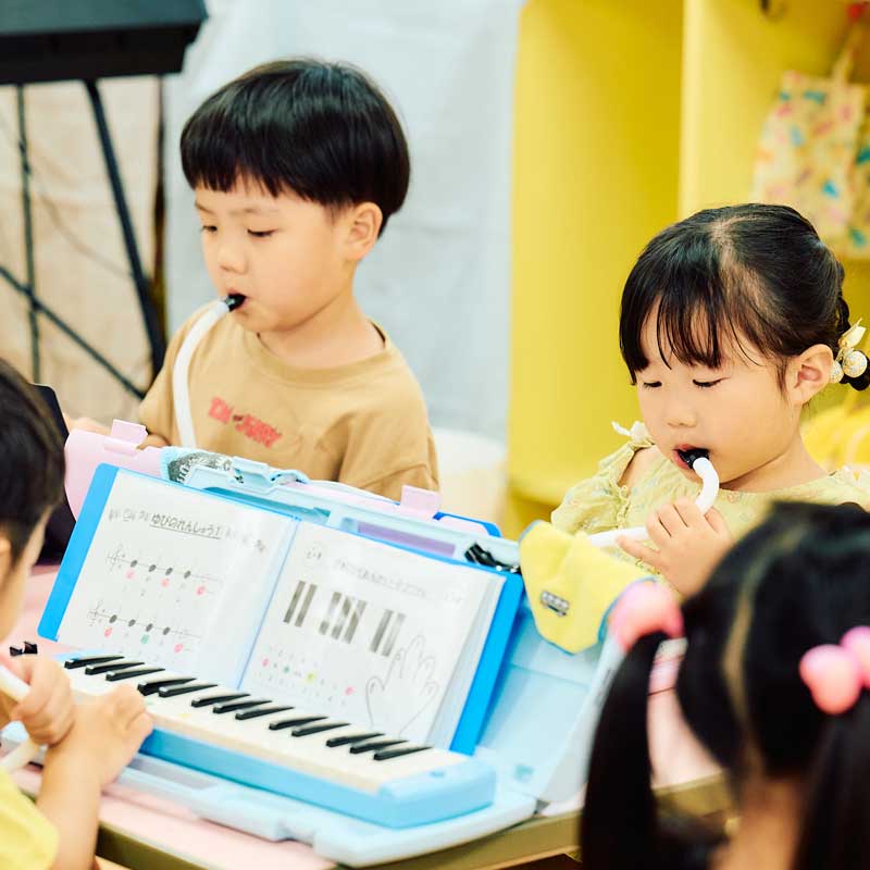 音楽の活動